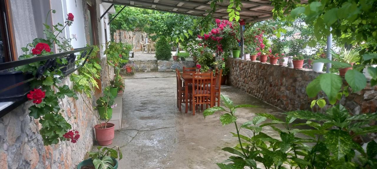 Roleo Guest House Lin Exterior photo