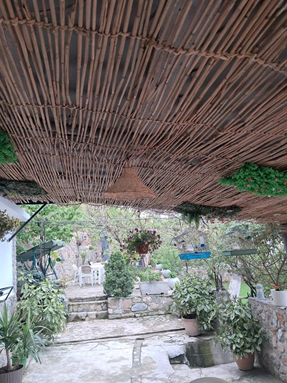 Roleo Guest House Lin Exterior photo